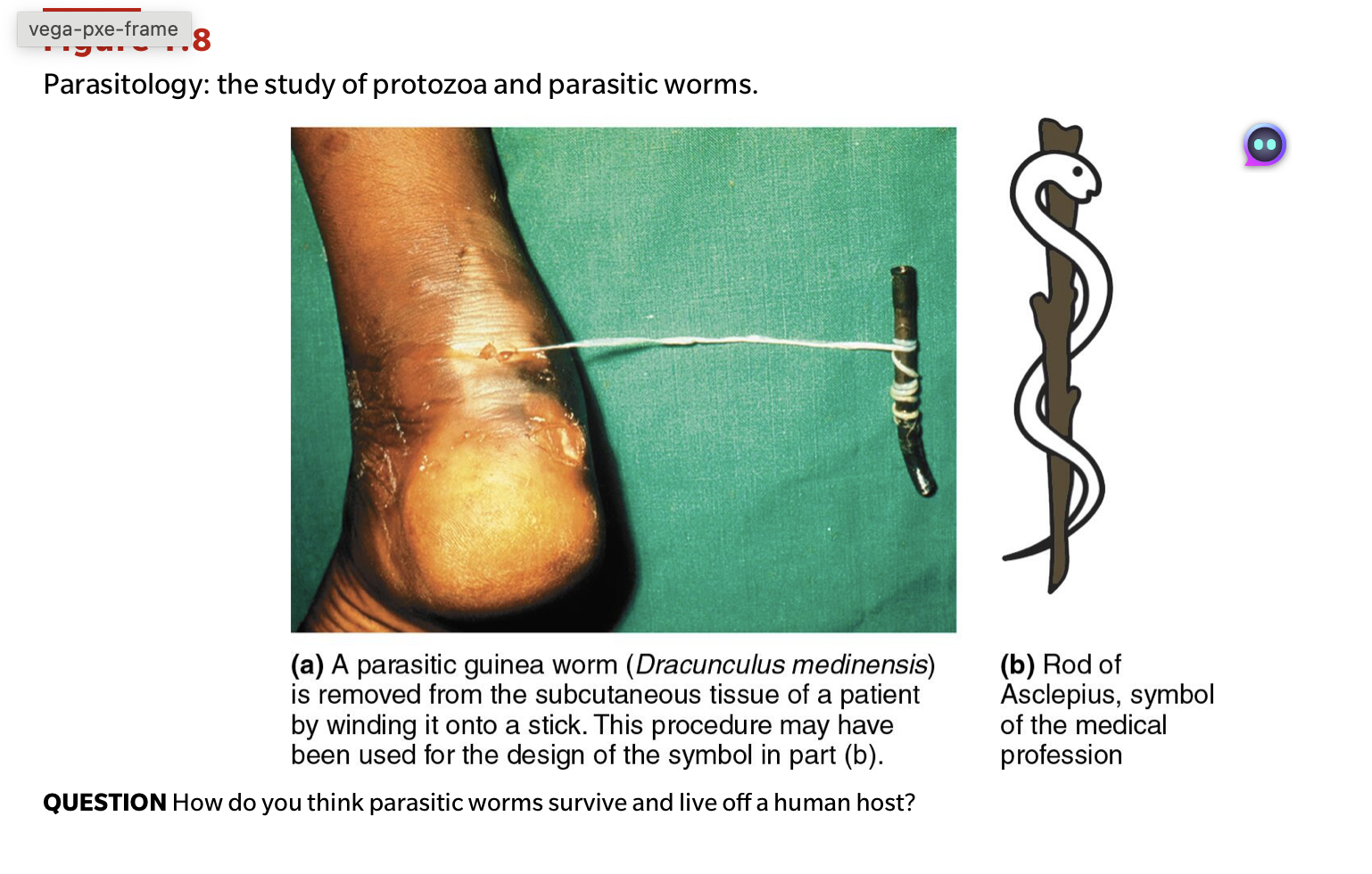 <p>QUESTION How do you think parasitic worms survive and live off a human host?</p>