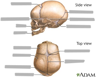 <p></p>