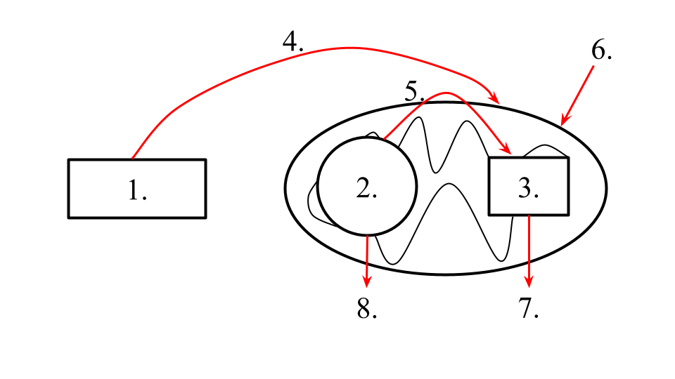 <p>7</p>