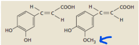 <p>[Phenolic Compounds] Differentiate the structures of Caffeic and Ferulic Acid </p>