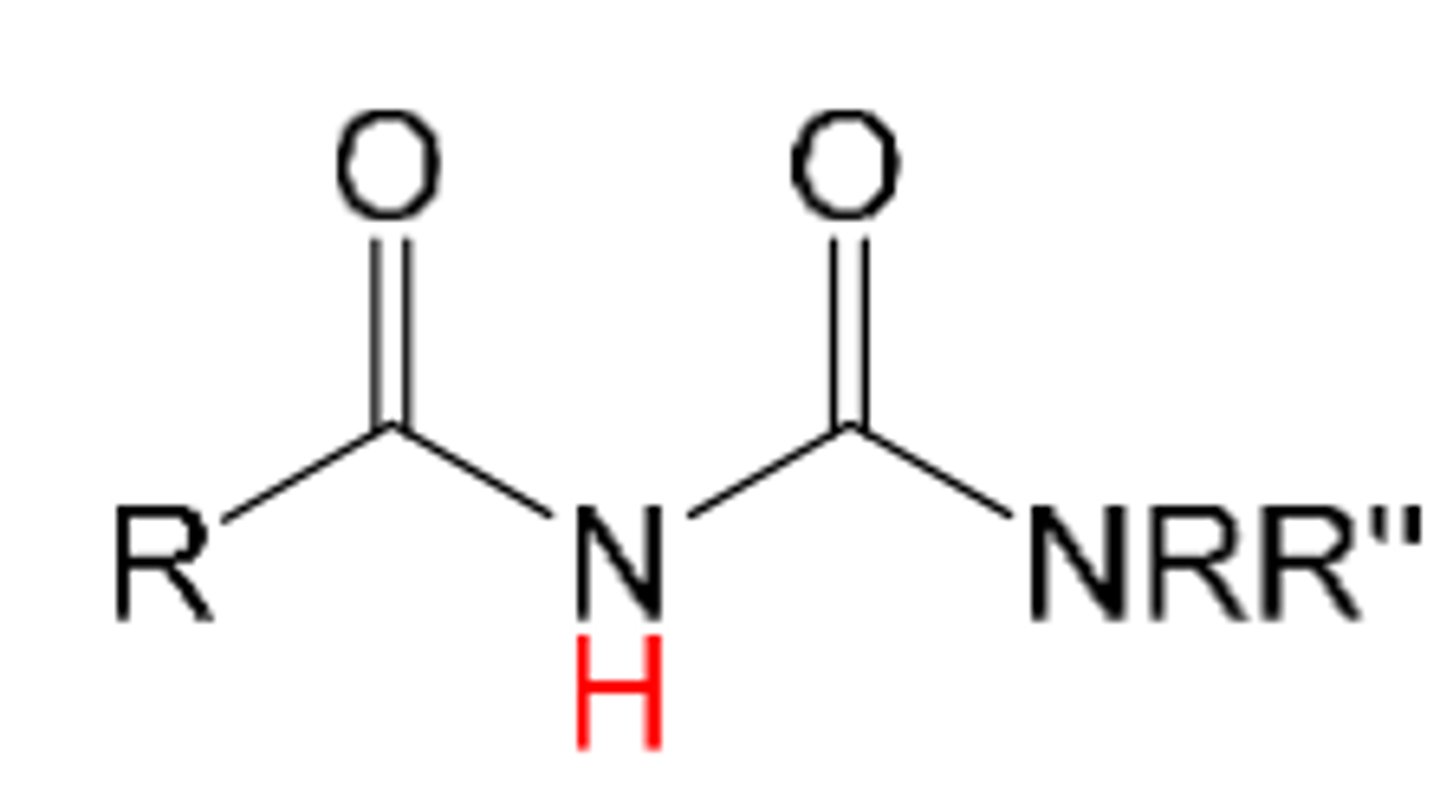 <p>1. acid with pKa= 9-11</p><p>like an imide but carbonyl is attached to another N</p>