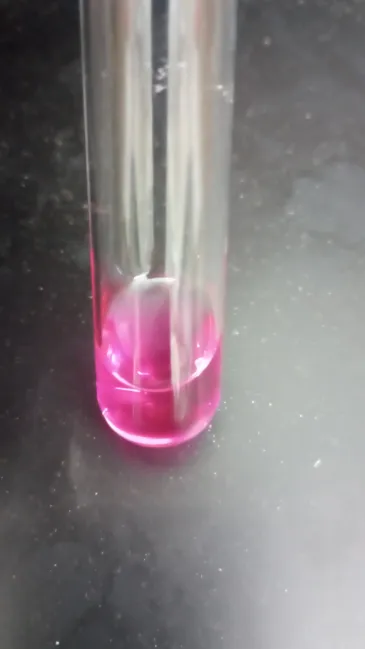 <ul><li><p><strong>pH: </strong>Basic</p></li><li><p><strong>Color: </strong>Magenta</p></li></ul><p></p><p><strong>Explanation</strong>: This bacteria produces urease to hydrolyze urea. End product is ammonium, making the broth basic.</p><p></p>