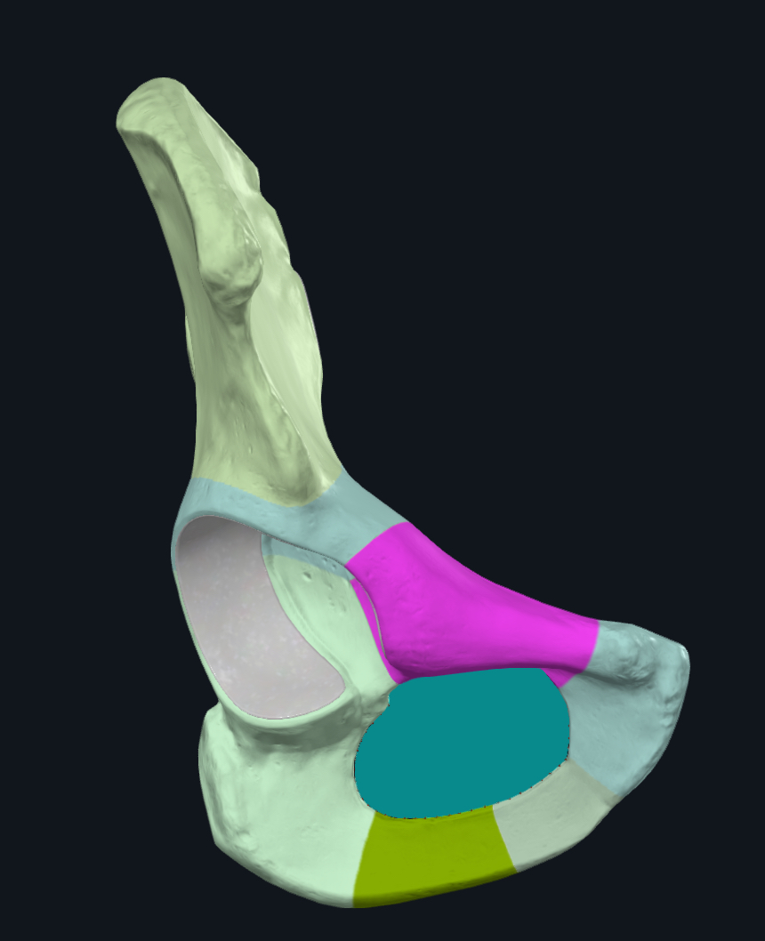 term image