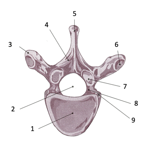 <p>Label 1-9</p>