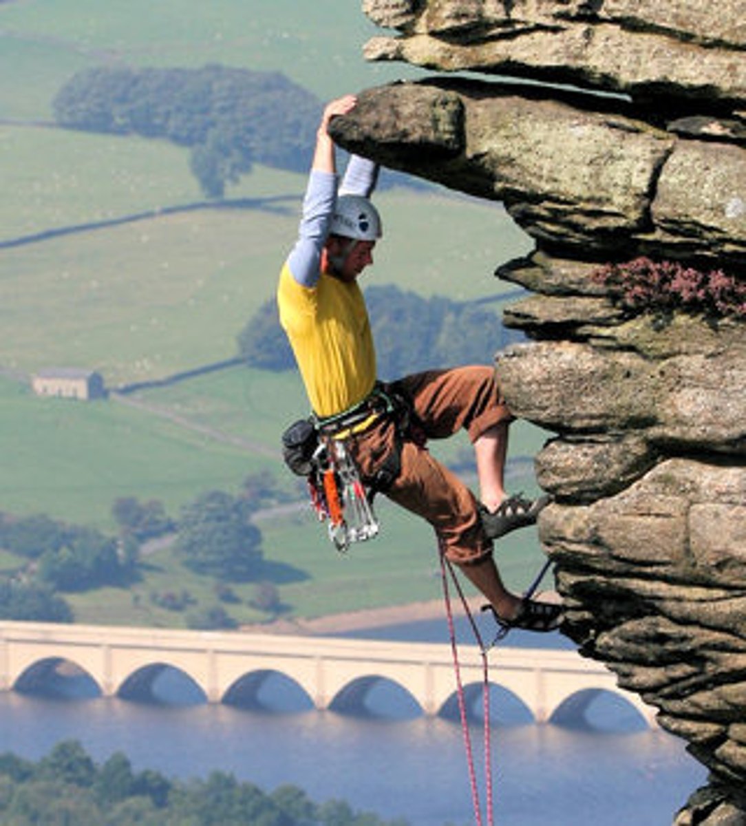 <p>to climb</p>