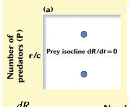 <p>know pred isocline and put together circle </p>