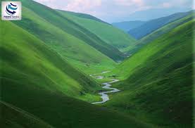 <p>Die lae gebied tussen huewels en berge word __________ genoem</p>