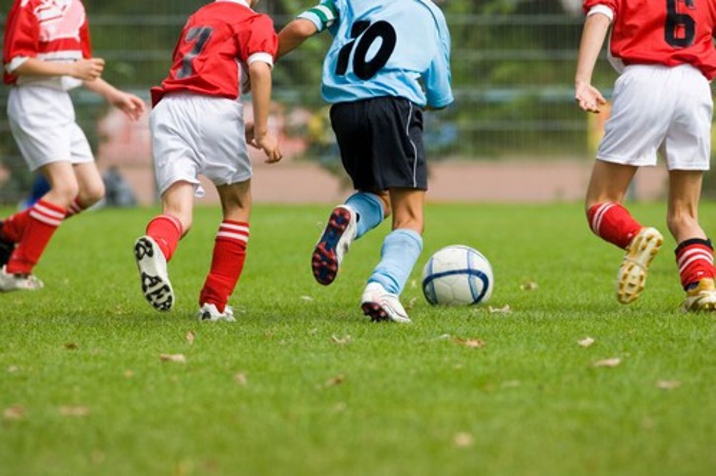 <p>soccer</p>
