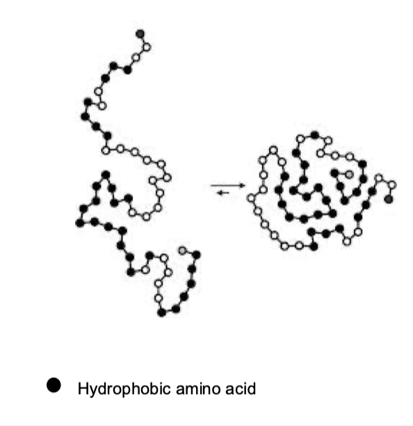 <p>they are internalised</p>