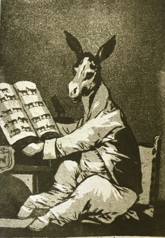 term image