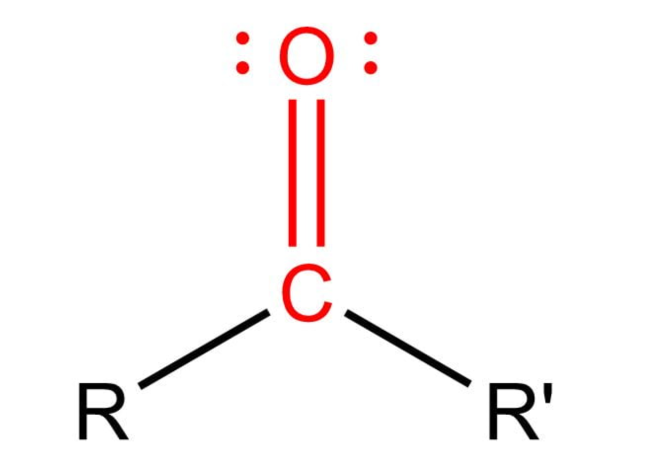 <p>oxygen double bonded to C of backbone</p>