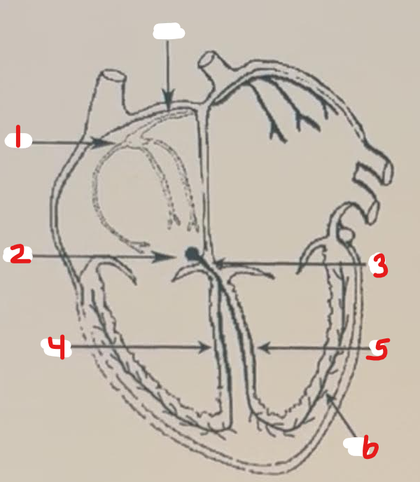 <p>Identify this image. </p>