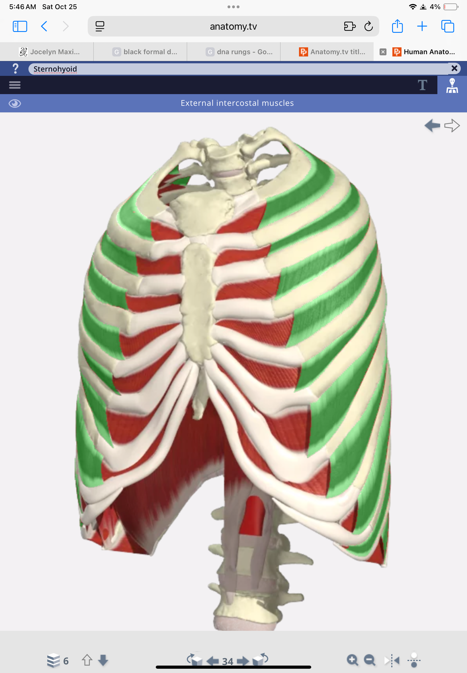 knowt flashcard image