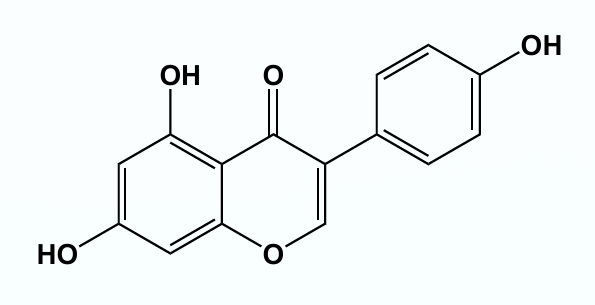 <p>The Isoflavonoid genistein from Soybean is an important phytohormone in human food → very high quantity in soy products</p><p>Genistein binds to ERβ with higher affinity as compared to ERα. In contrast to ERα binding, ERβ binding results in antagonistic conformation at the receptor.</p><img src="https://knowt-user-attachments.s3.amazonaws.com/bc7628cd-05f3-4ba5-85c1-f1b256ee211d.png" data-width="75%" data-align="center" alt=""><p></p>