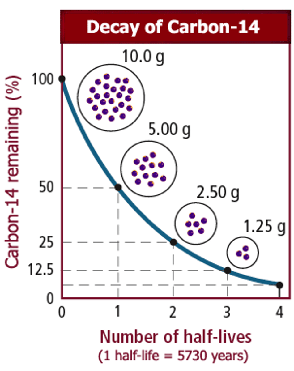 <p>radioactive element decay diagram.</p>