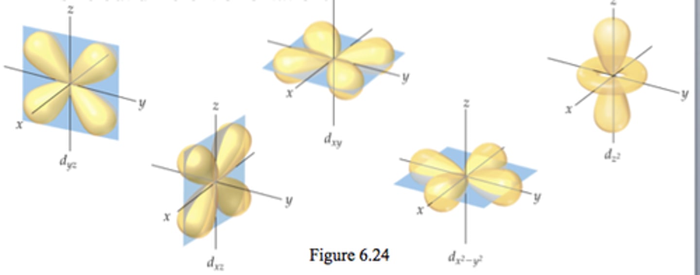 <p>vary in shape</p><p>each shell with d orbitals has five d orbitals of the same size but different orientation</p>