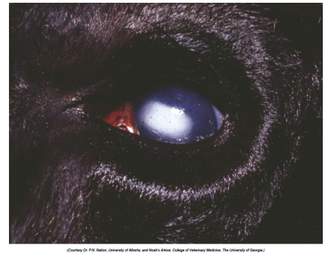 <p>What is this?</p>