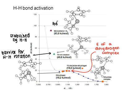 <ul><li><p>The monoalkene is high energy as it is a 16 electron complex.</p></li><li><p>When H<sub>2</sub> is added, the complex is stabilised, however there is a barrier for rotation.</p></li><li><p>The energy slightly increases as the TS for dihydride conversion forms.</p></li><li><p>The energy drops as the dihydride complex forms as it is more stable.</p></li></ul><p>The energies are determined by DFT.</p>