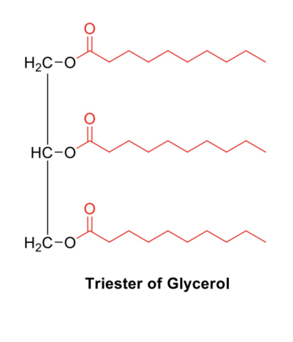 <p>- Triesters of one glycerol and three fatty acids.</p><p>- Fatty acids don't all have to be the same so can very in length and be saturated or unsaturated.</p>