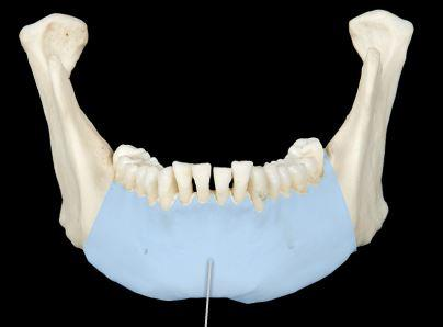 <p><span>body</span></p>