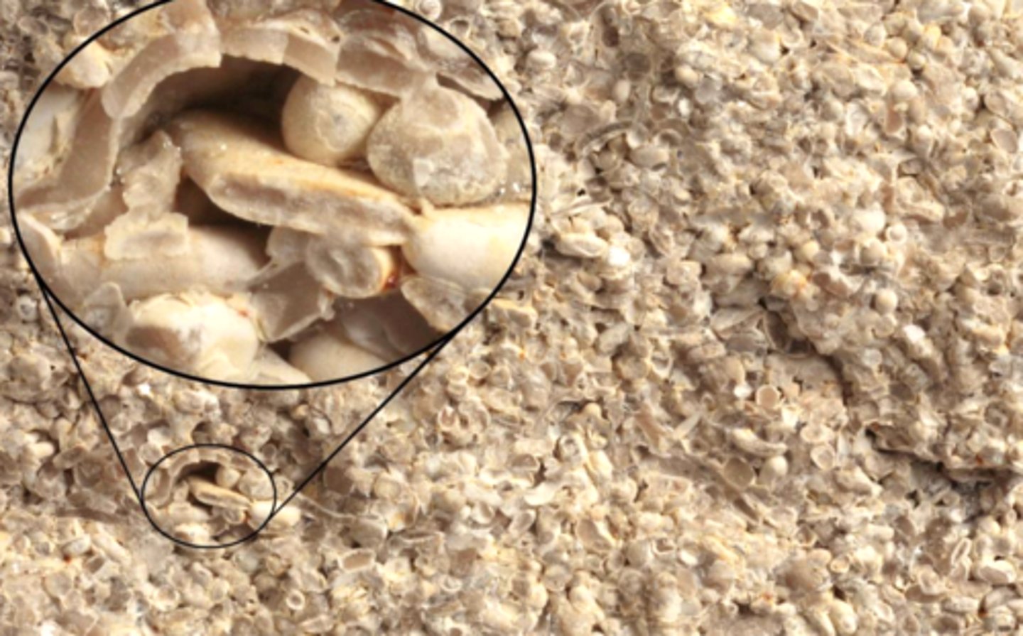 <p>What is this?</p>