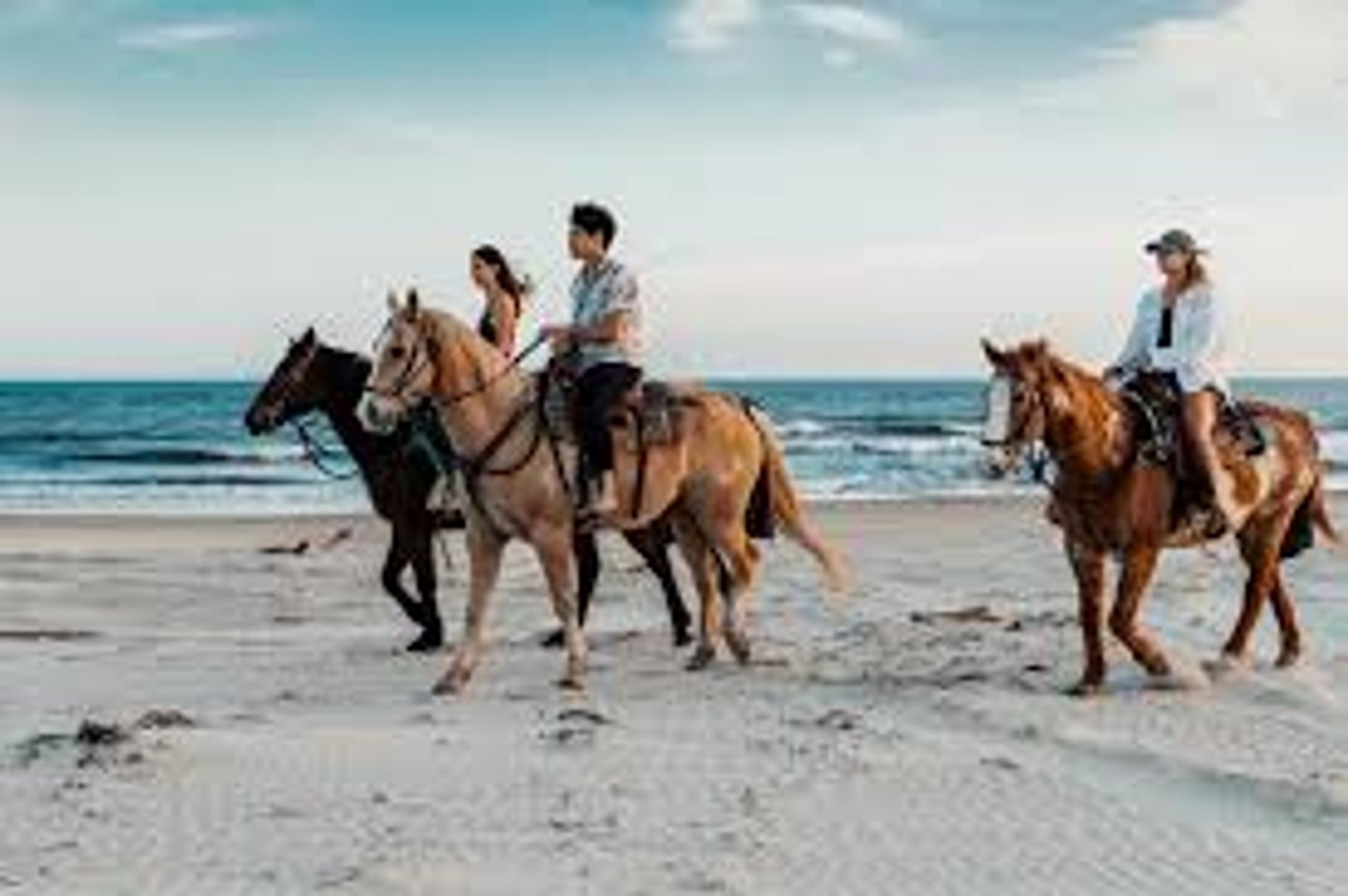 <p>In Mar del Plata there are as many hotels as in Pinamar.</p>