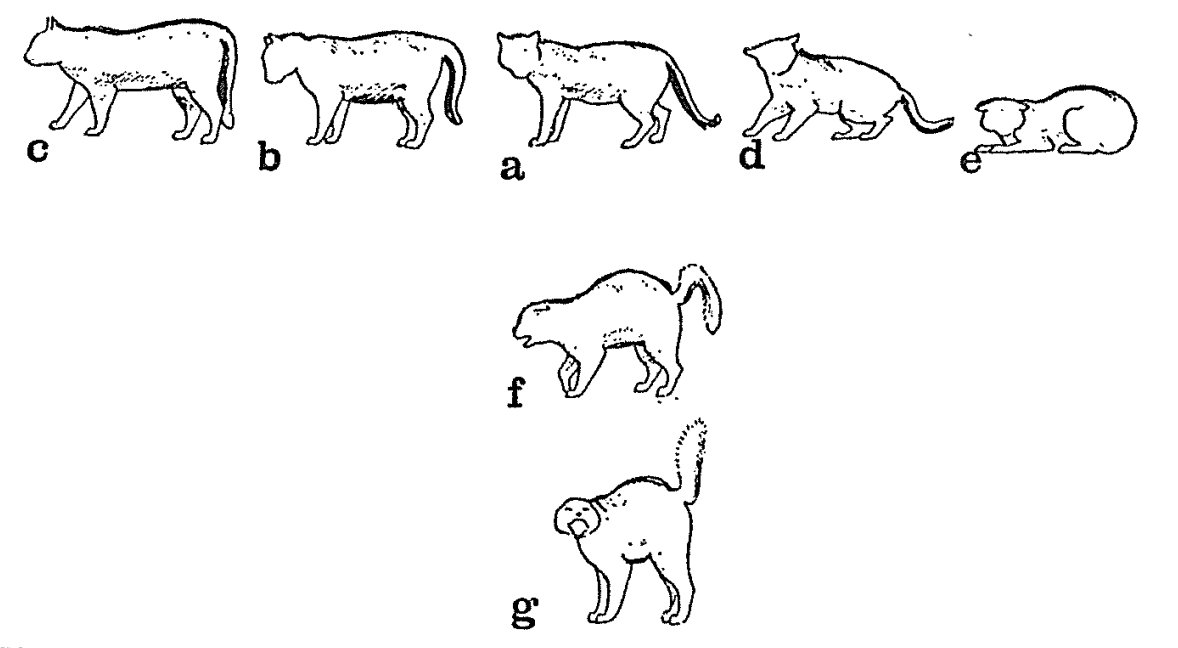 <p>what is showing in a-c, a-e, a-g</p>