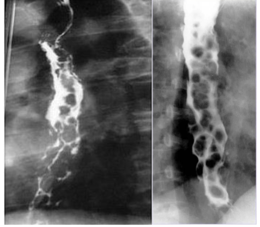 <p>What is this and what type of scan </p>