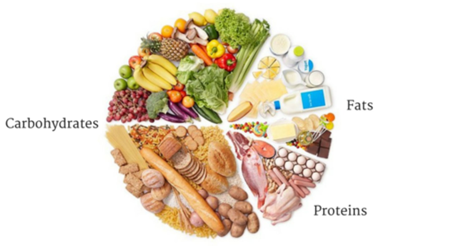 <p>Nutrients needed in large amounts (g-kg)</p><p>- carbohydrates, lipids, proteins</p>