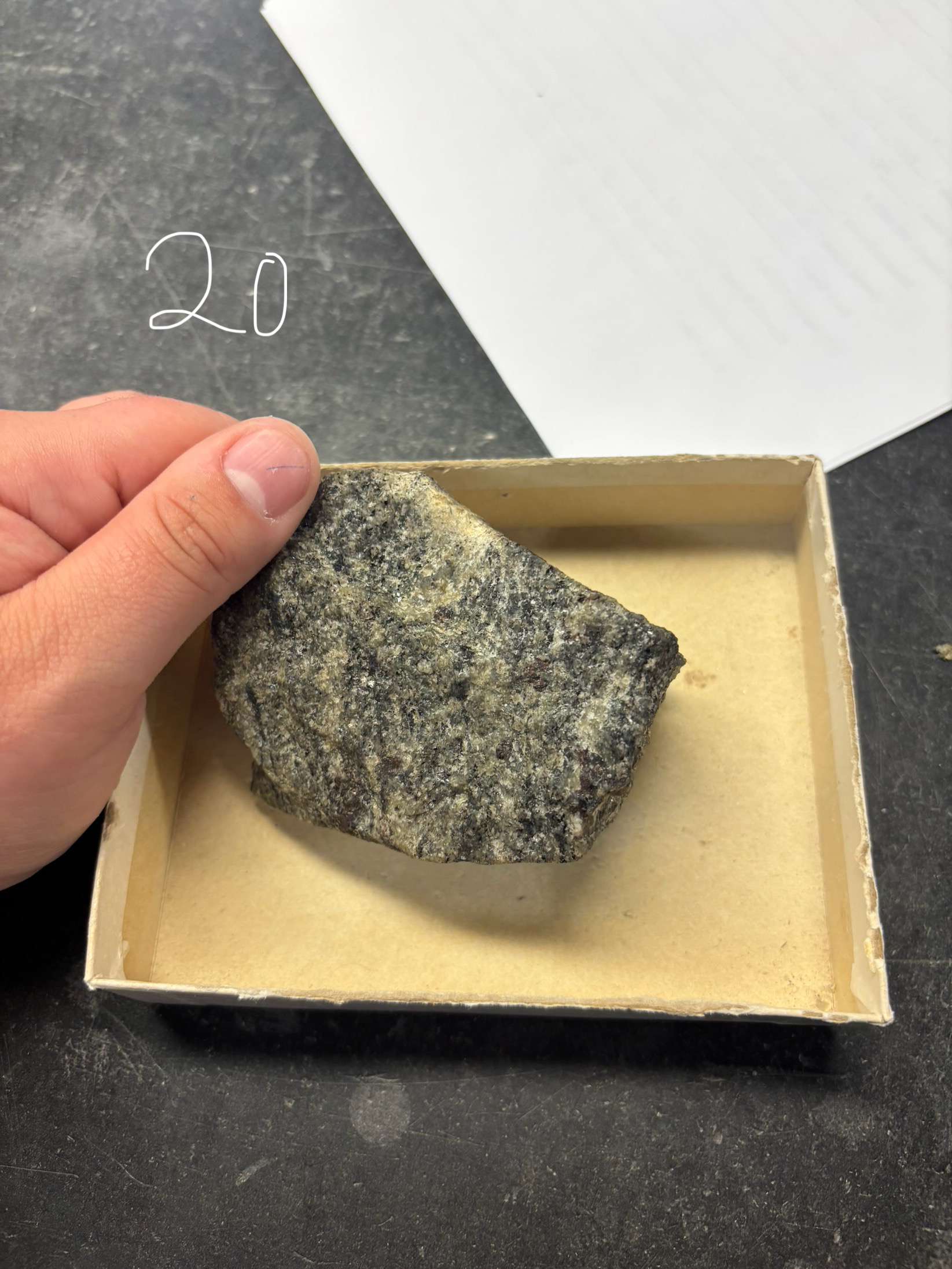 <p>Minerals Present ?</p><p>Overall texture ?</p><p>Rock Name ?</p>