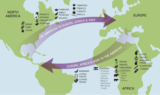 <p>Columbian Exchange (Old World to New World)</p>