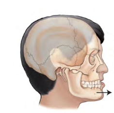 <p>Movement term </p>