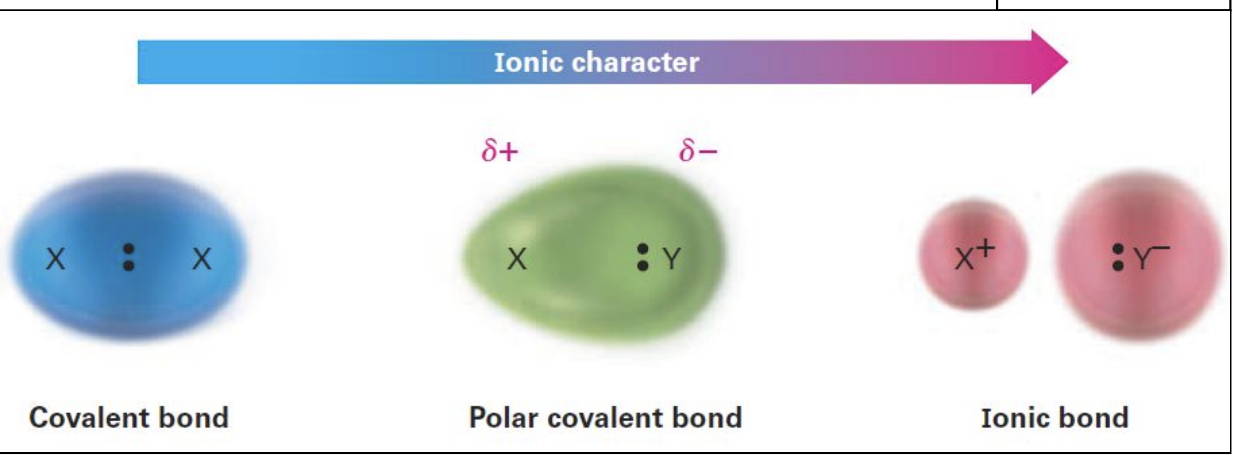 <p>Covalent bond</p><p>Polar covalent bond</p><p>Ionic bond</p><p>Can be permanent or induced</p>