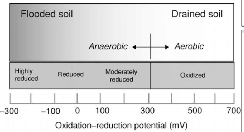 <p>Quantitative measure of the tendency of the soil to oxidize or reduce substances</p>
