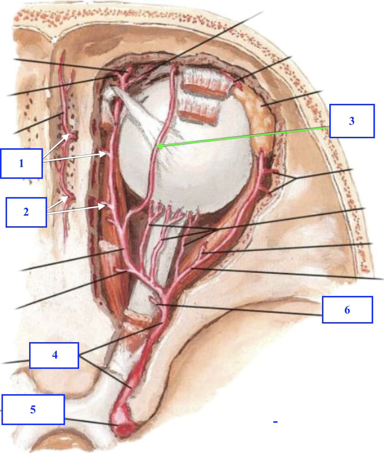 <p>Chi tiết số 3 là gì ?</p><p>Chi tiết số 4 là gì ? </p>