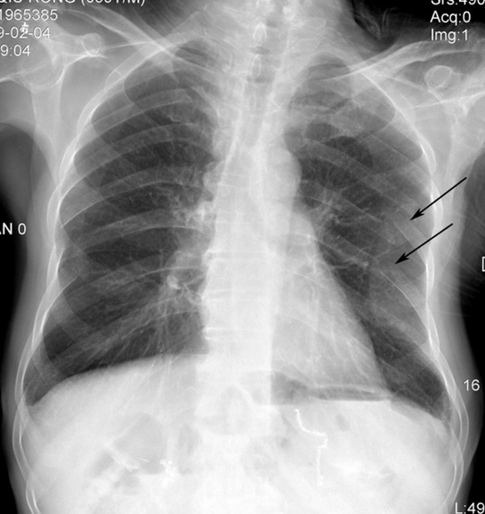 <p>What is this? </p>