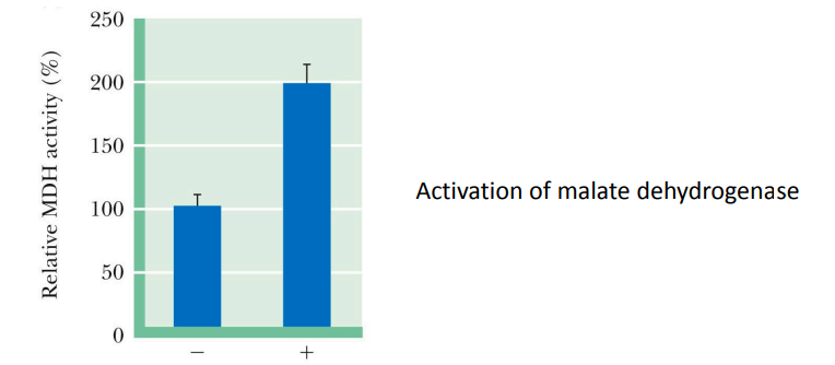 <p>Acetylation of metabolic enzymes is an important mechanism for regulating the flow of metabolic substrates (e.g: carbohydrates and fats)</p>