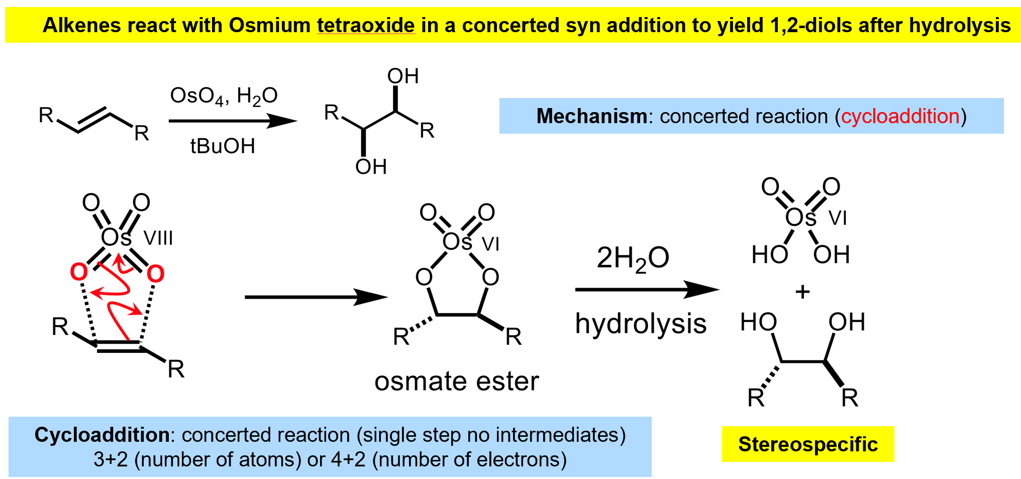 <p>The osmate ester is analogous to a bromonium/epoxide however thanks to the osmate structure we will end up with a syn- product.</p>