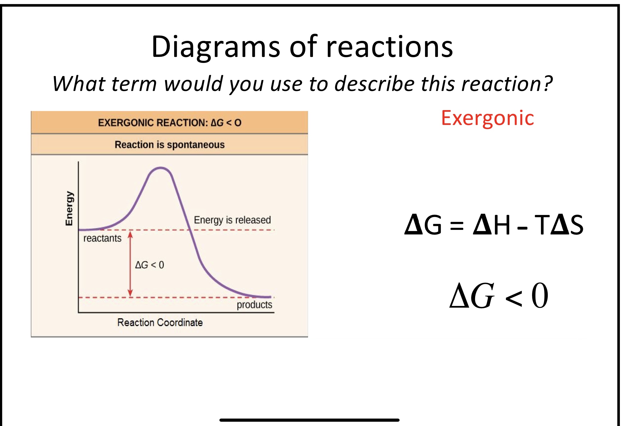 delta G <0

_Exorgeneic