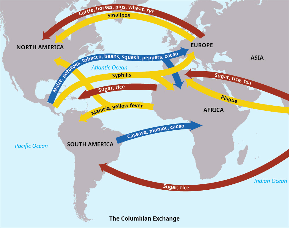 <ul><li><p>The Exchange of goods/ ideas/ diseases between the New World (North America), the Old World (Europe), and West Africa</p></li><li><p>When <strong>Christopher Columbus</strong> (Spainish) reached the West Indies in <strong>1492</strong></p></li></ul><p></p>