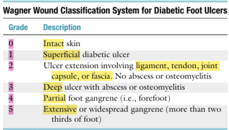 <p><strong>Grade 5</strong></p>
