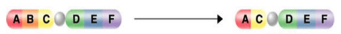 <p>A chromosomal mutation that occurs when all or part of a chromosome is lost</p>