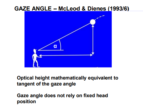 <p>The angle between </p><ul><li><p>The horizontal line from the observer’s eyes</p></li></ul><ul><li><p>The line to the moving object (e.g., a ball)</p></li></ul><p></p>