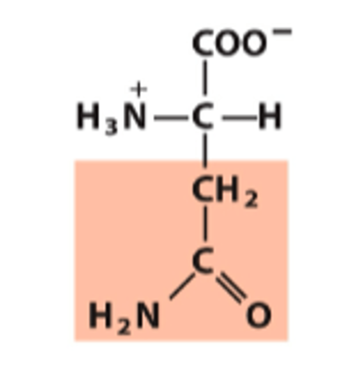 <p>What amino acid is this?</p>