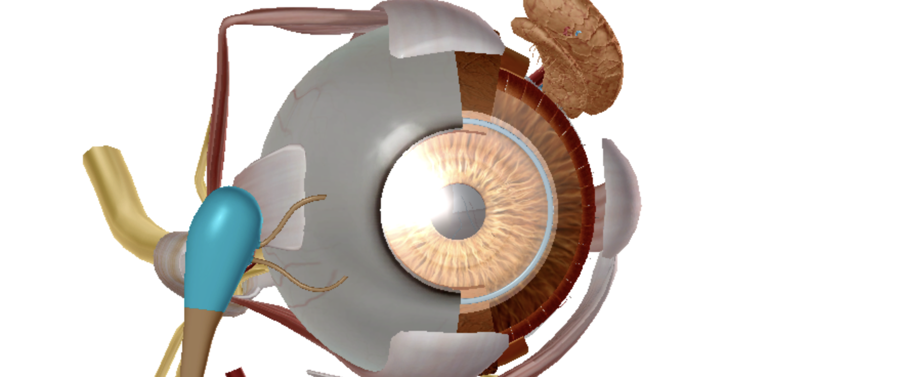 <p>what is highlighted </p>