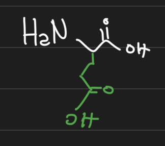 <p>Negatively charged / acidic</p><p>Glu</p><p>E</p>