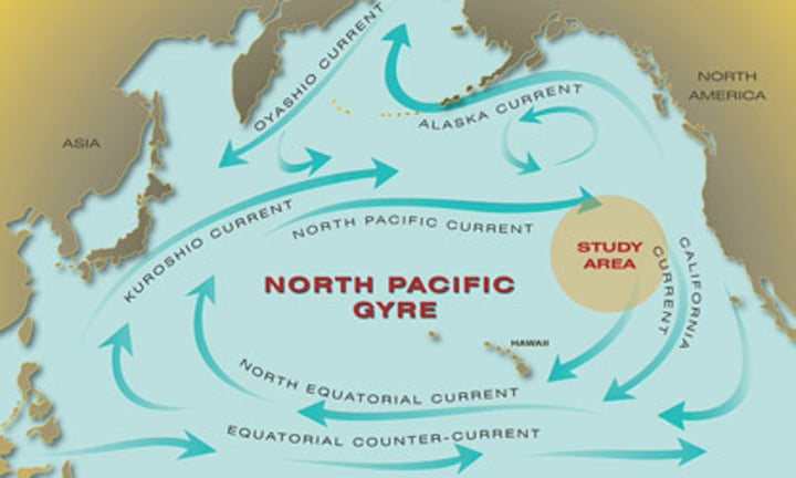 <p>North Pacific Gyre</p>