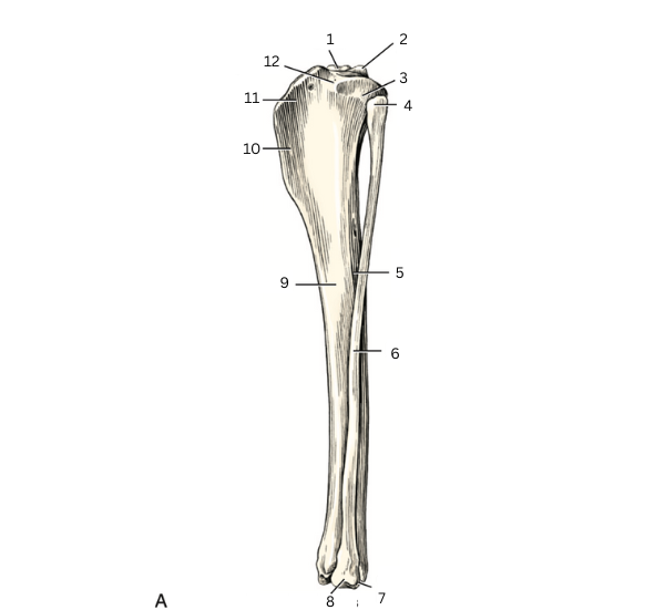 <p>2</p>