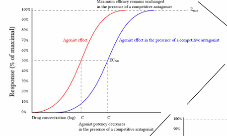 <p>interacts with the same receptors as the agonist: the agonist ad antagonist therefore compete for the same receptors.</p><ul><li><p>reversible competitive antagonist - effects can thus be reduced by adding more agonist. antagonist dissociates from the receptor</p></li><li><p>irreversible competitive analysis - increasing the agonist concentration has no effect. antagonist does not not dissociate from the receptor</p></li></ul><p></p>