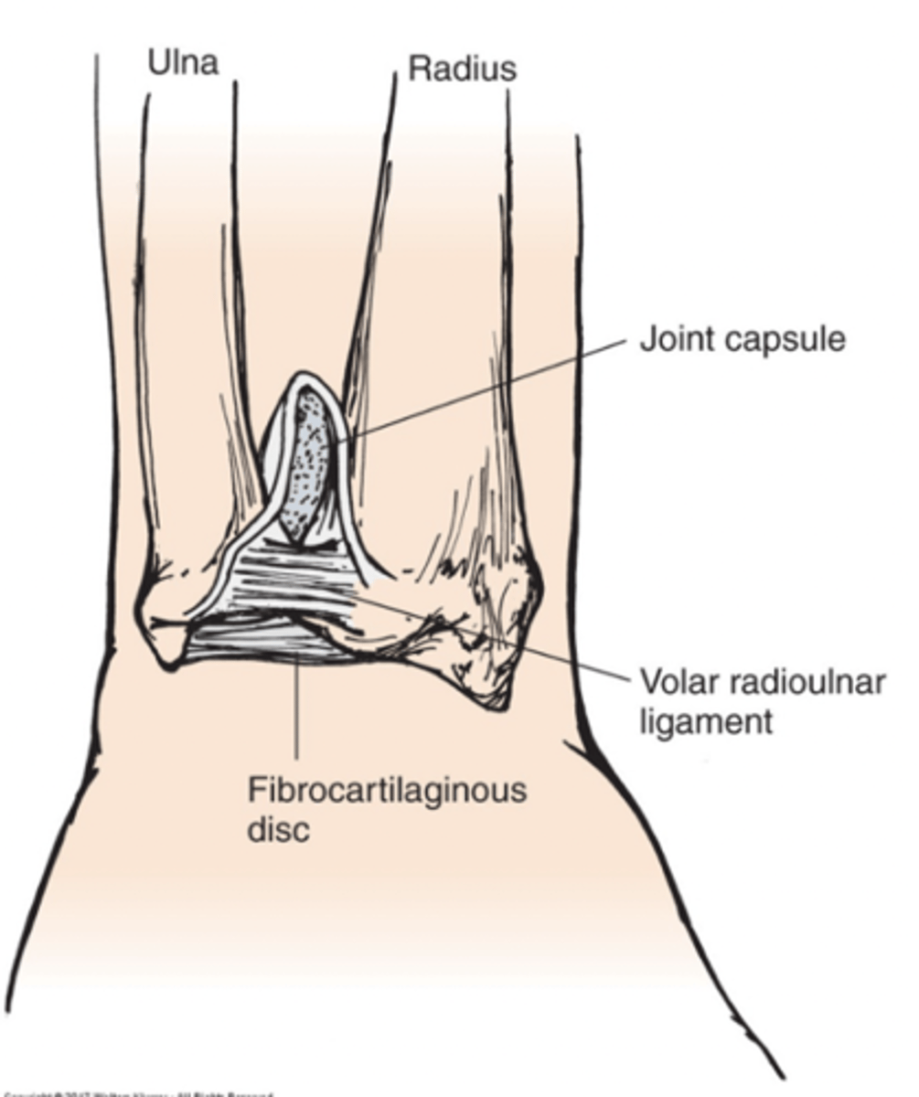 <p>Distal radioulnar joint</p>